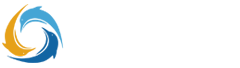 蒐索